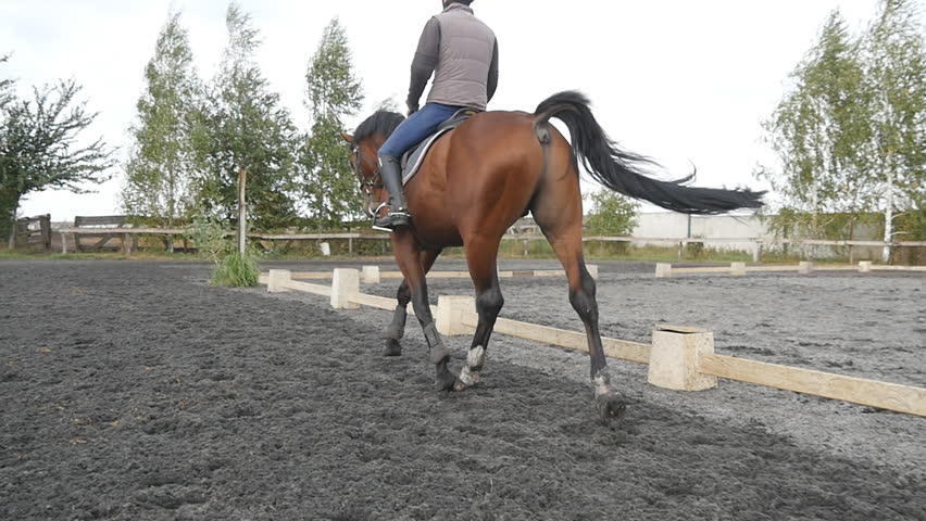 Young Man Horseback Riding Outdoor. Male Jockey At Horse Walking At ...
