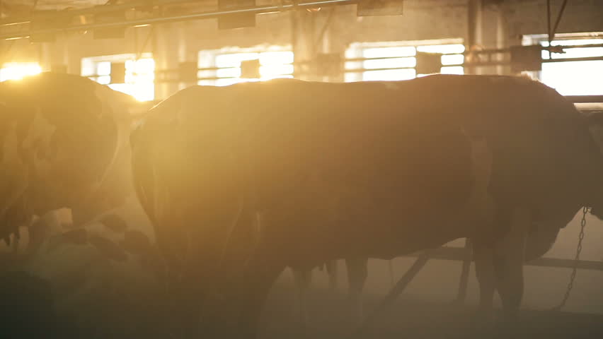 Header of byre