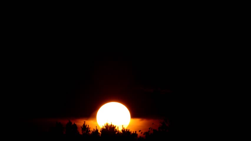 to grow light as the sun rises 4 letter word