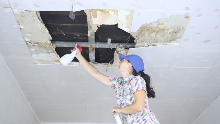 Young Woman Cleaning Mold On Stock Footage Video 100 Royalty Free 24793139 Shutterstock