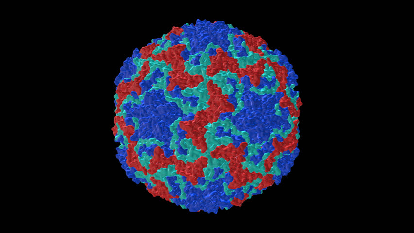Resultado de imagen de rhinovirus video español
