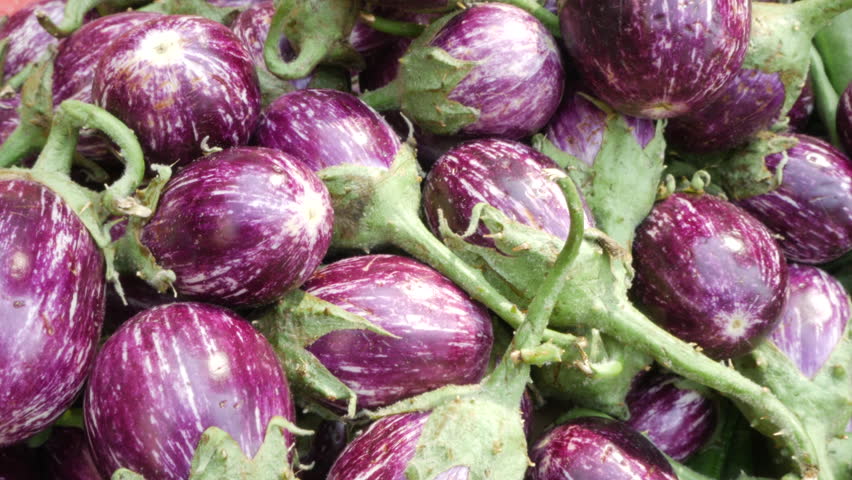 Header of brinjal