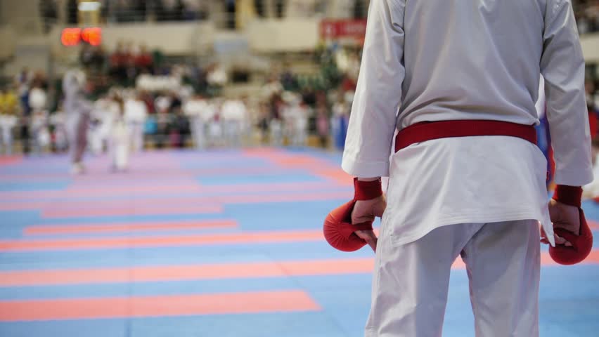 Татами для каратэ WKF