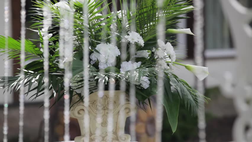 Header of Callas