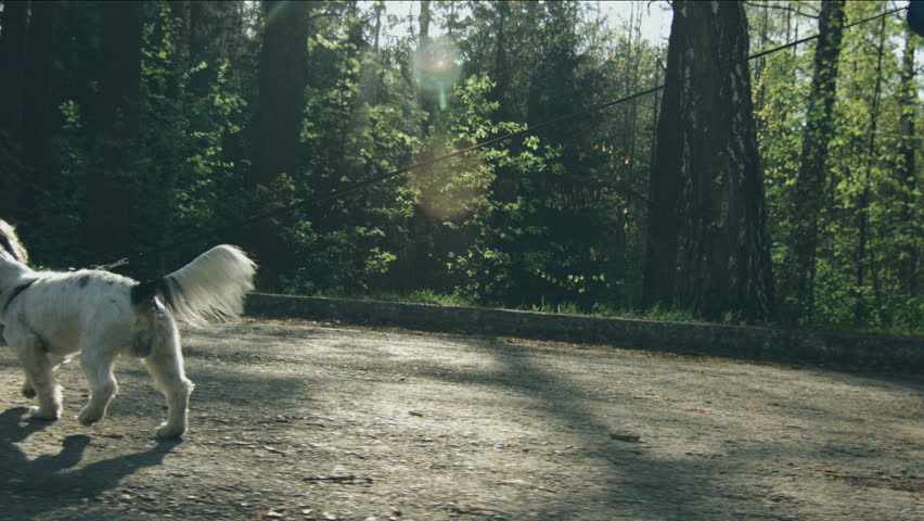 Header of leash