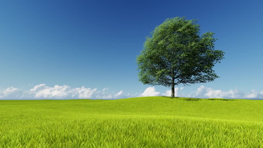 Zoom Out Of Green Grass And Tree With Clouds Running Background.high ...