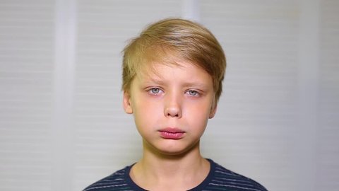 Closeup Portrait Of Cute Funny Stock Footage Video 100 Royalty