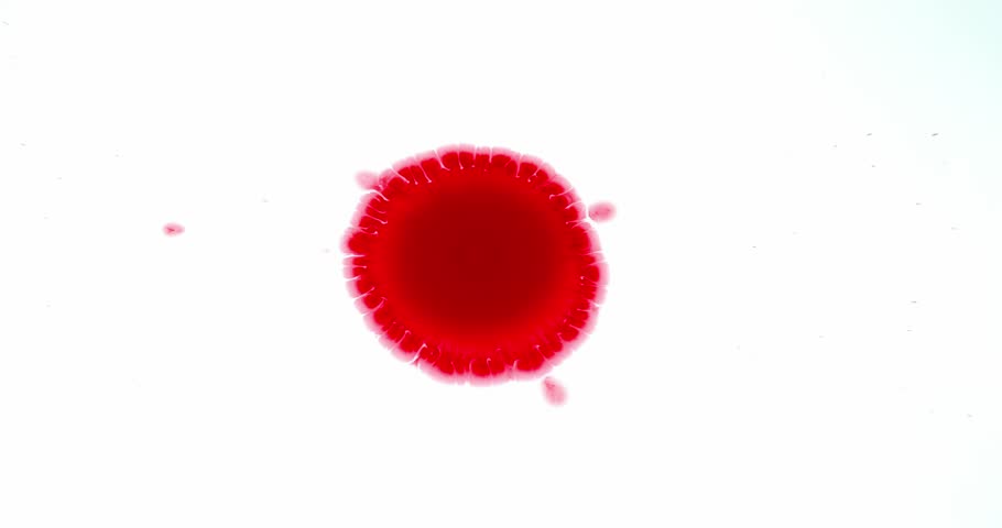 Blood Dripping Against White Background, Stock Footage Video (100%