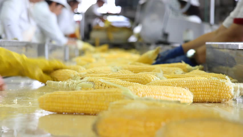 Header of corn