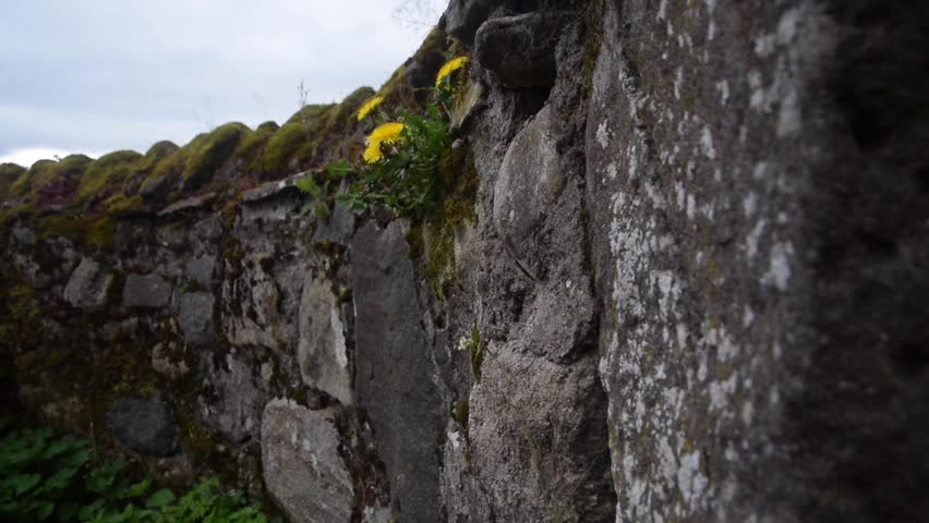 Header of stonewall