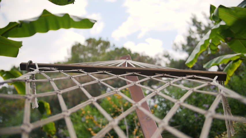 Hammock Backyard Stock Footage Video | Shutterstock