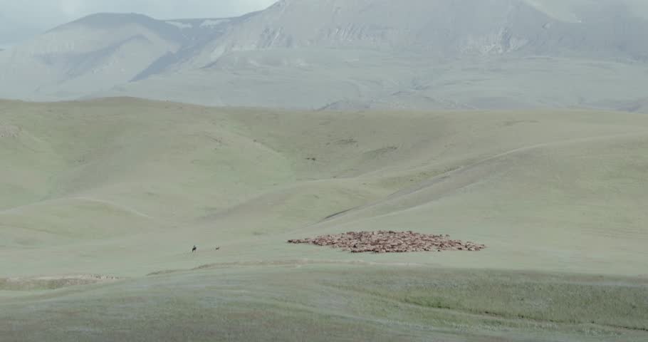 Header of Kirghizia