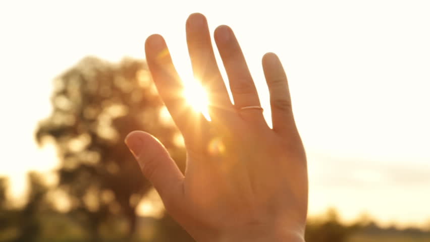 The Sun In His Hands. Woman Hand To Catch The Sun On The Background Of ...