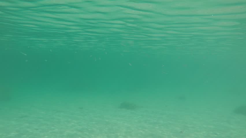 Small Boat In The Sea On A Green Screen Background Stock Footage Video ...