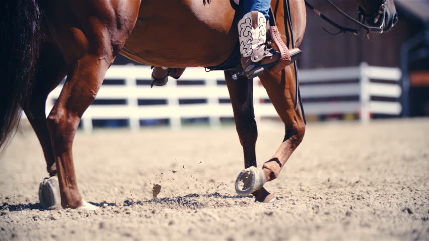 Riding Horse In Jogging Pace Stock Footage Video 100 Royalty free 29878219 Shutterstock