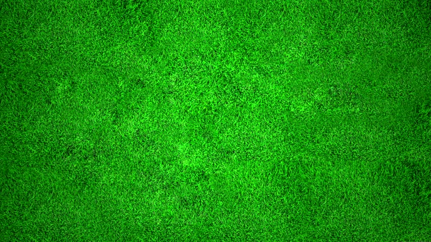 Cartoon Grass Background Top View - cartoon on net