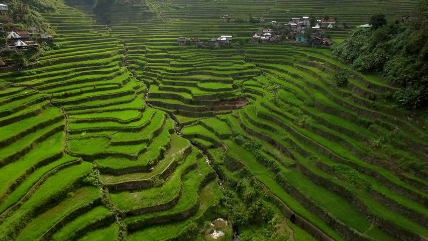 Stock video of batad rice terrace, aerial view of | 30048589 | Shutterstock