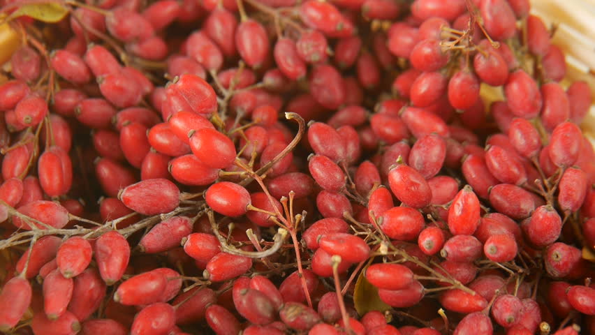 Header of barberry