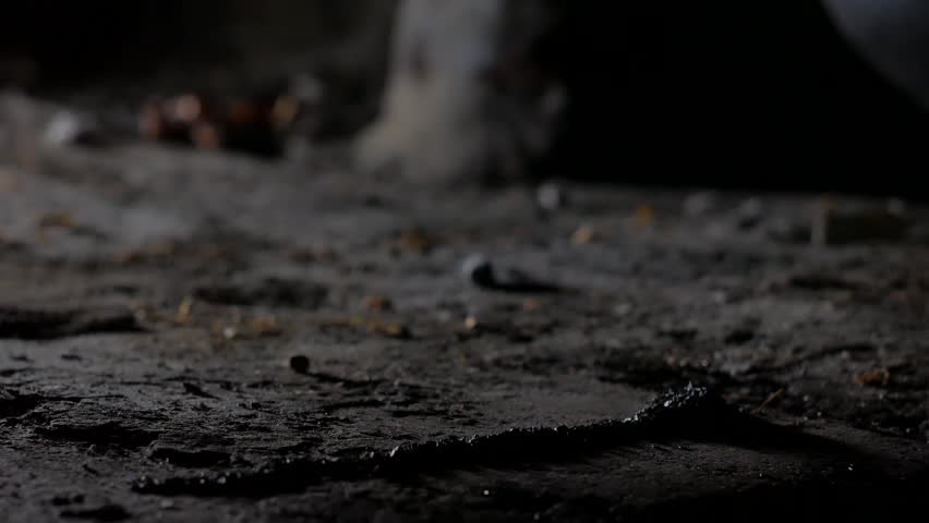 Header of gunpowder