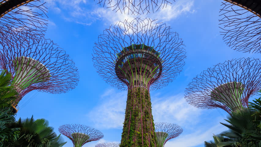 Garden By The Bay August 2017 garden city skyway stock footage video | shutterstock Garden By The Bay August 2017 garden city skyway stock footage video | shutterstock