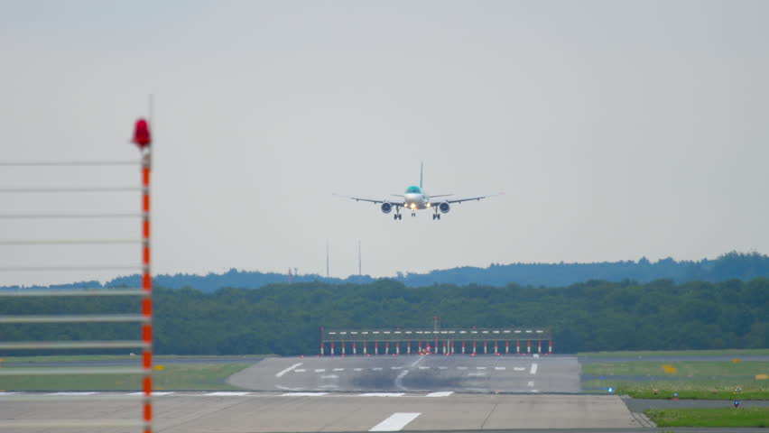 Header of Birdstrike