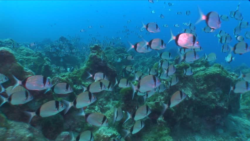 Header of shipwreck