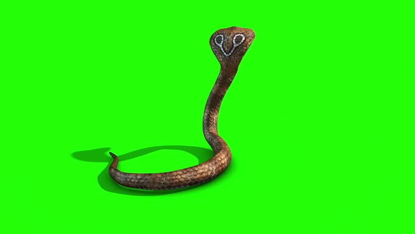 green screen snake strike
