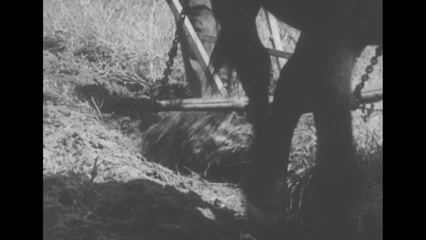 Header of gulley