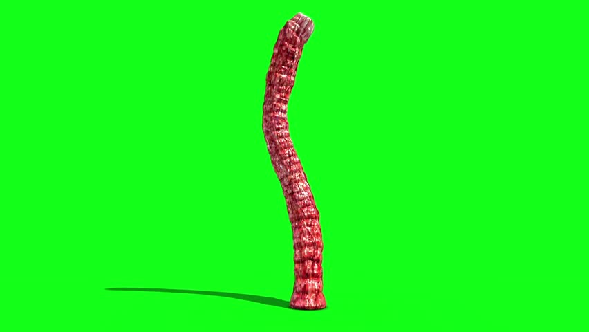Header of monstrous