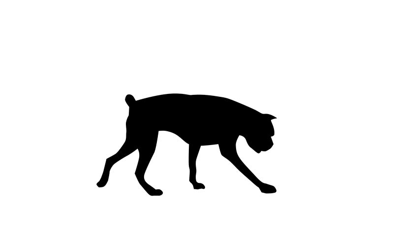 boxer dog silhouette