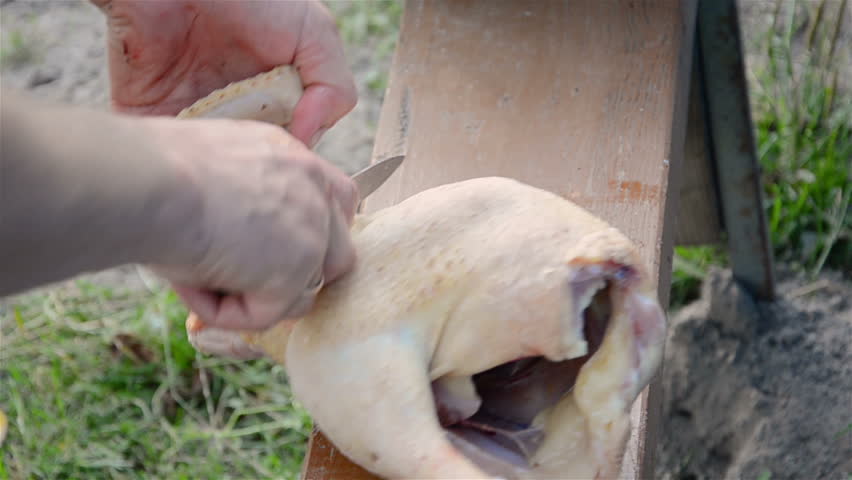 Header of broiler