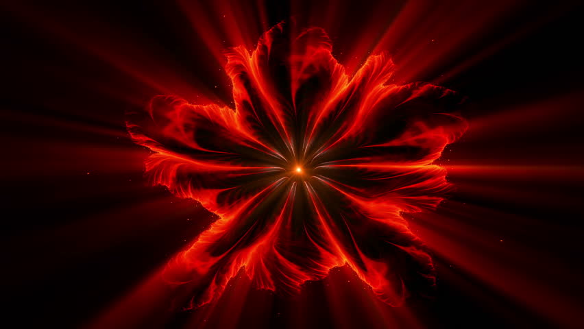 Burning Red Fiery Flower - Blazing Red Flower Made Of Flames On Black ...