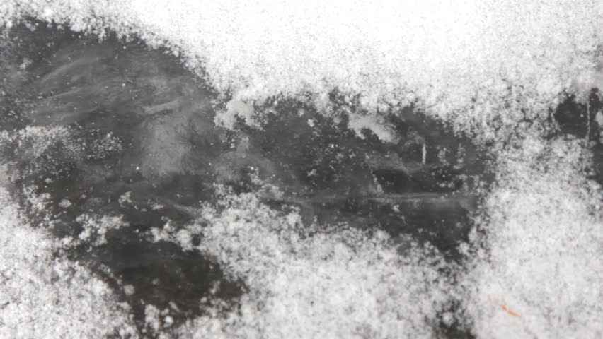 Header of phenology