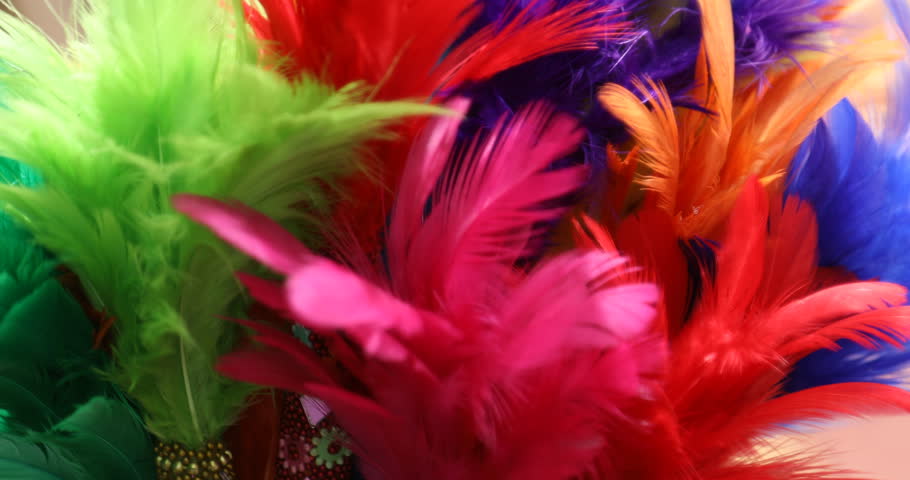 Multi Color Bird Feathers Stock Footage Video (100% Royalty-free ...