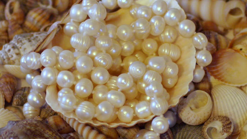 Pearl Shell Stock Footage Video | Shutterstock