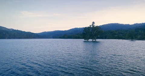 Aerial: trees growing out of the water in Lexington Reservoir, Los gatos, Silicon Valley, USA