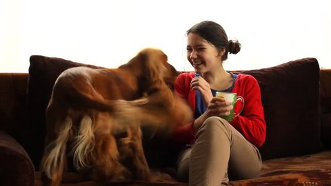 Girl Her Dog English Cocker Spaniel Stock Footage Video (100% Royalty-free)  3680759 | Shutterstock