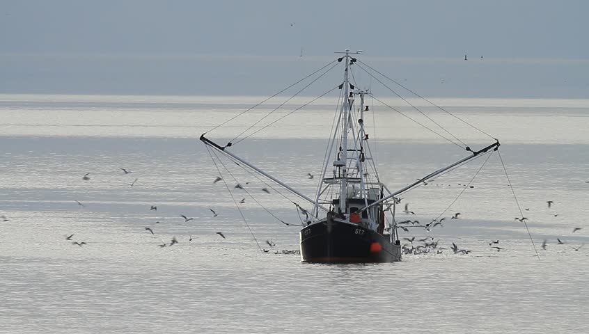 Header of trawler