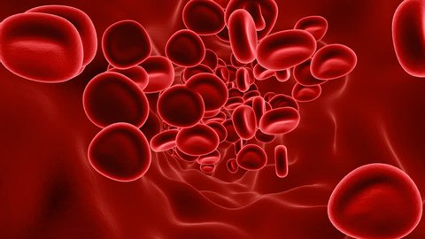 blood cells wallpaper