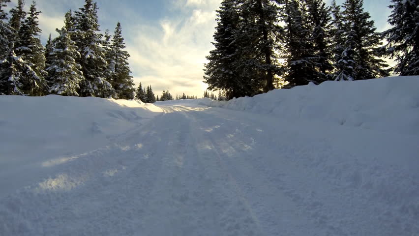 Low angle driving POV around 
