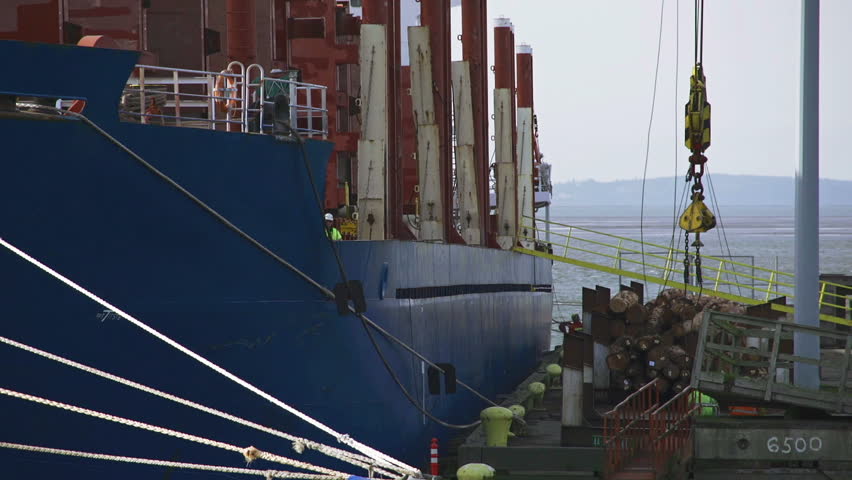 Heavy Machinery Carry Timber Logs From A Loading Deck While Cranes ...