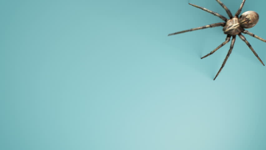 Header of venomous