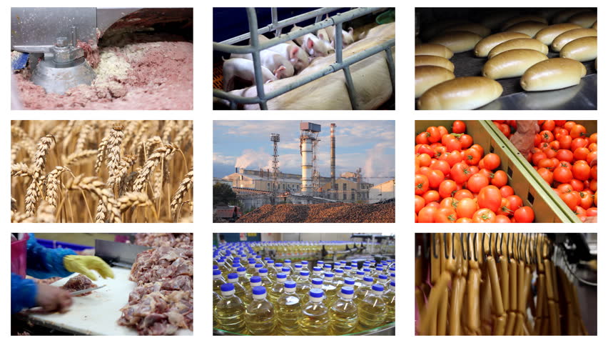 food production food production