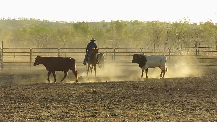 Home Valley Station Kimberley September Stock Footage Video 100 Royalty Free 4738409 Shutterstock - 