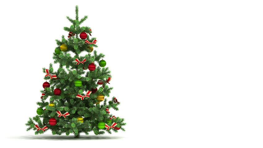 Christmas tree on white background - Rainforest Islands Ferry