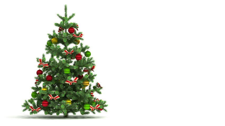 Christmas tree on white background - Rainforest Islands Ferry Christmas tree on white background - Rainforest Islands Ferry