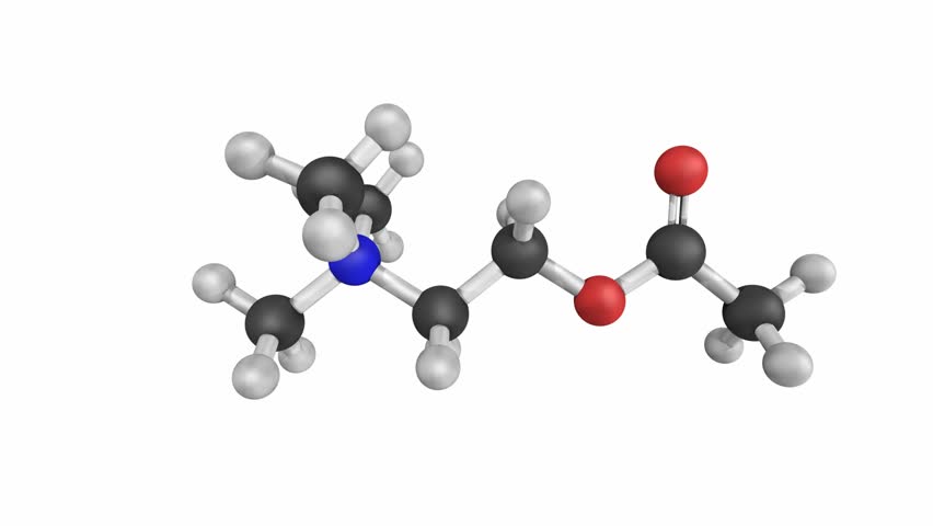 Stock video of acetylcholine (ach) neurotransmitter, molecular model ...