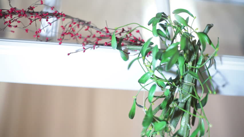 Header of mistletoe