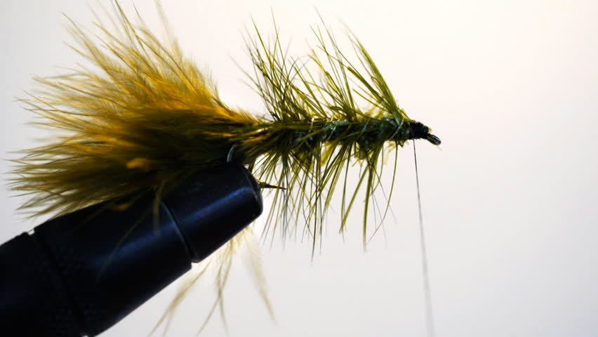 Header of bugger