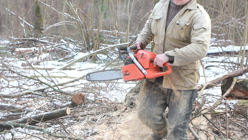 Tree Falling in the Forest Stock Footage Video (100% Royalty-free ...